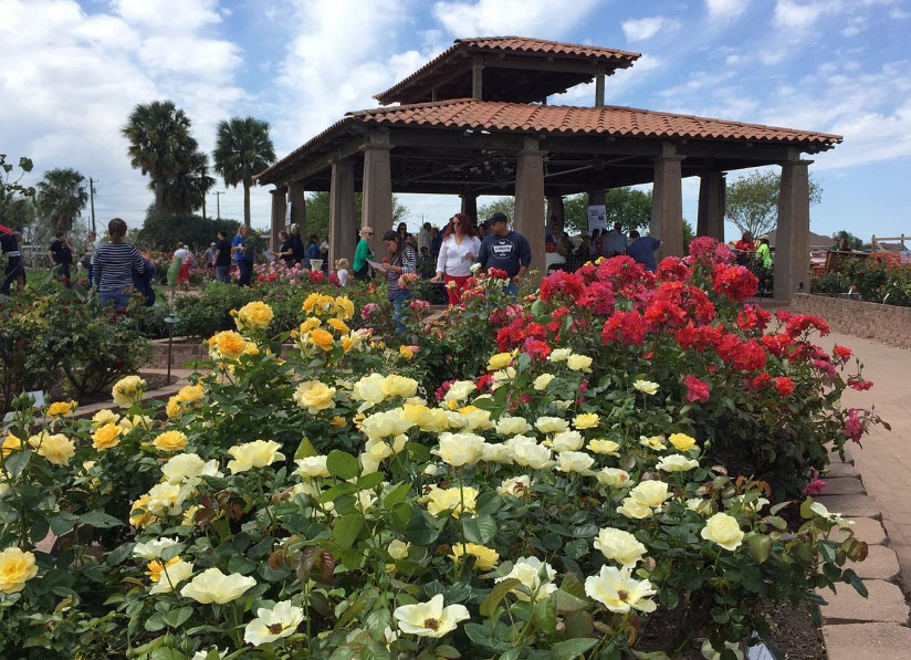 South Texas Botanical Gardens & Nature Center, United States